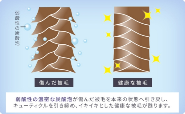 被毛さらさら